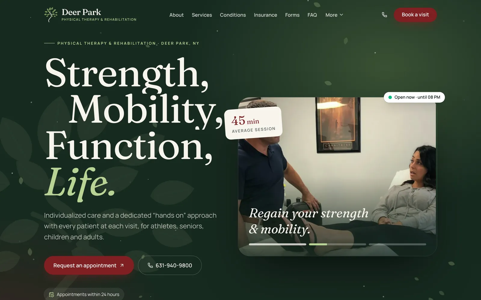 Deer Park Physical Therapy website in the clinic's own logo colors, built by Disame Graphics